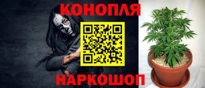 гидропоника Гусев