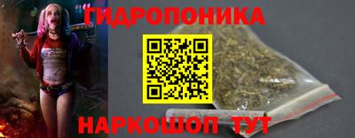 гидропоника Гусев