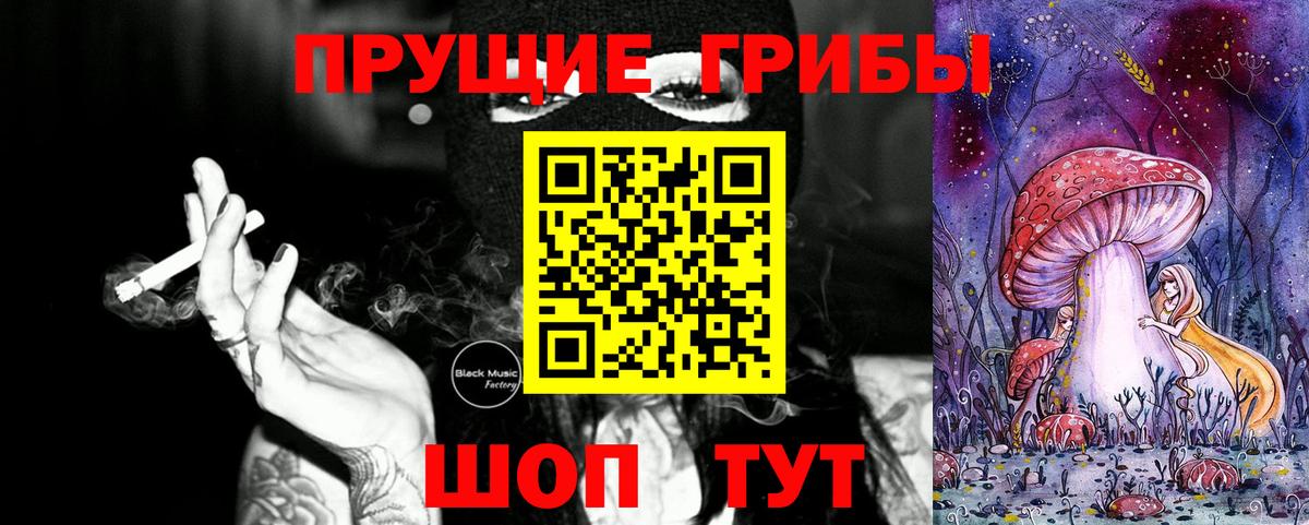 Галлюциногенные грибы Psilocybine cubensis Дятьково